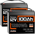 Humesienk 2 Stücke 12V 100Ah Batterie LiFePO4, bis zu 15.000 Zyklen, 3840Wh Lithium Solarbatterien mit 100A BMS & Tieftemperaturschutz, Camper