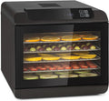 Klarstein Arizona Jerky Dörrautomat, 500 Watt, 35-70°C, 6 spülmaschinenfeste Einlagefächer, Dörrgerät, Dehydrator, trocknet Obst, Fleisch und Früchte
